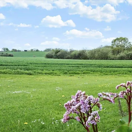 Sj253-haderslev-vikaerparken-89