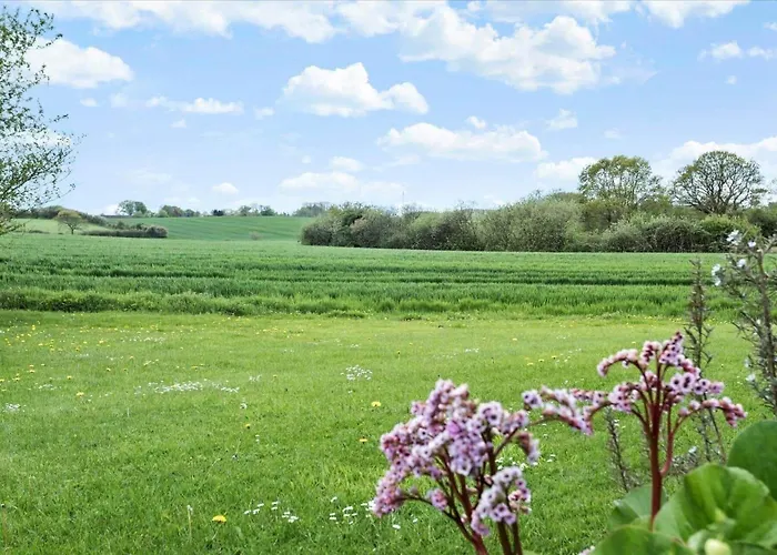 Sj253-haderslev-vikaerparken-89 Dom wakacyjny